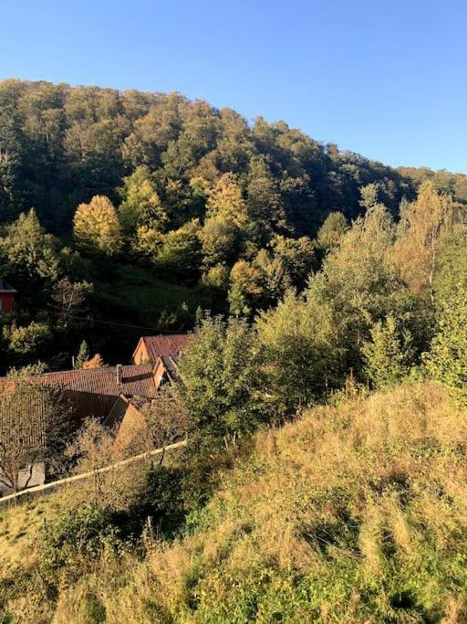 Ferienwohnung Am Hang Mit Malerischer Aussicht Osterode am Harz Exterior foto